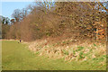 Daventry: Eastern Way playing field