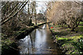 Beddington:  River Wandle, looking downstream