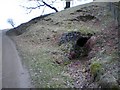 Entrance to Lolly Scar lead mine