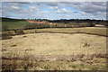 View across the valley of the Barton Brook