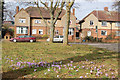 Daventry: The Inlands and crocuses