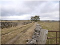 Lane near Lodley View farm