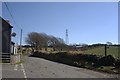 Country Road near Trevia Walls