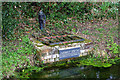 Ludwell Spring, Horsted Keynes - detail