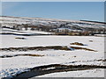 Former mining area near Hawkuplee Farm