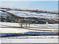 NY7852 : Snowy West Allen Dale around Ouston by Mike Quinn
