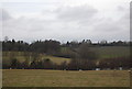 View north west from Cryals Rd