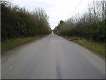 N9561 : Country Road, Co Meath by C O'Flanagan