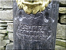 N9752 : Water pump, Co Meath, detail by C O'Flanagan