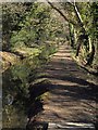 Bridleway by the drainage channel