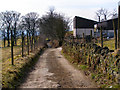 Bridlepath at Old Birtle