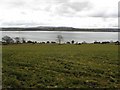 C2518 : Lough Swilly, Carrowcashel by Kenneth  Allen