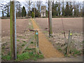 The path to Hatton Church