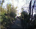 Footpath linking The Dingle & Greenfield Road, Colwyn Bay