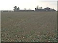 Field towards Field House Farm