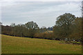 Field above Ardingly Reservoir