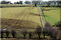 Track near Whitehead