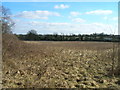 Farmland East of the B684