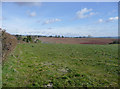 Pasture land near Blakeshall, Worcestershire