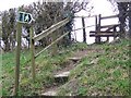 Steps and stile, Ashmore