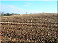 Farmland near New Farm