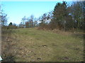 Nature Reserve off Calverton Road