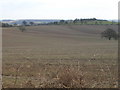 Farmland near Calverton