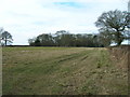 Farmland near Hagg Cottage