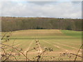 Farmland South of Epperstone Park