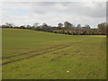 Farmland near Calverton