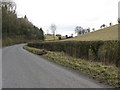 Lane On The West Side Of Oaker Wood