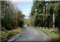 Kingsford Lane at Kingsford, Worcestershire