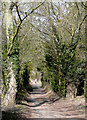 Bridleway to Castle Hill, Kingsford, Worcestershire