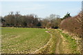 Footpath Near Mid Lavant