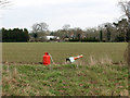 Bird scarer in field west of Little Hockham