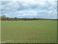 Farmland near Thurgaton Quarters Farm