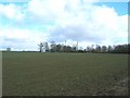 Farmland near Hill Farm