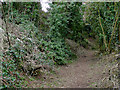 The North Worcestershire Path near Drakelow