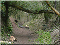 The North Worcestershire Path near Drakelow