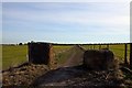 Track to Upton between fields