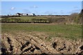 Looking across Farmland to Trewartha