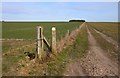 Farm track at West Ginge