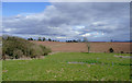 Farmland at Blakeshall, Worcestershire