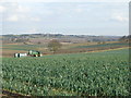 Farmland off  Chapel Lane