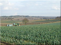 SK5654 : Farmland off  Chapel Lane by JThomas