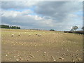 SK6153 : Farmland beside the A614 by JThomas
