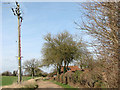 Electricity pole beside Wash Lane