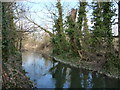 Christchurch - River Avon