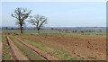 Fields towards Beobridge, Shropshire