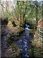 Path and stream, Lower Combe